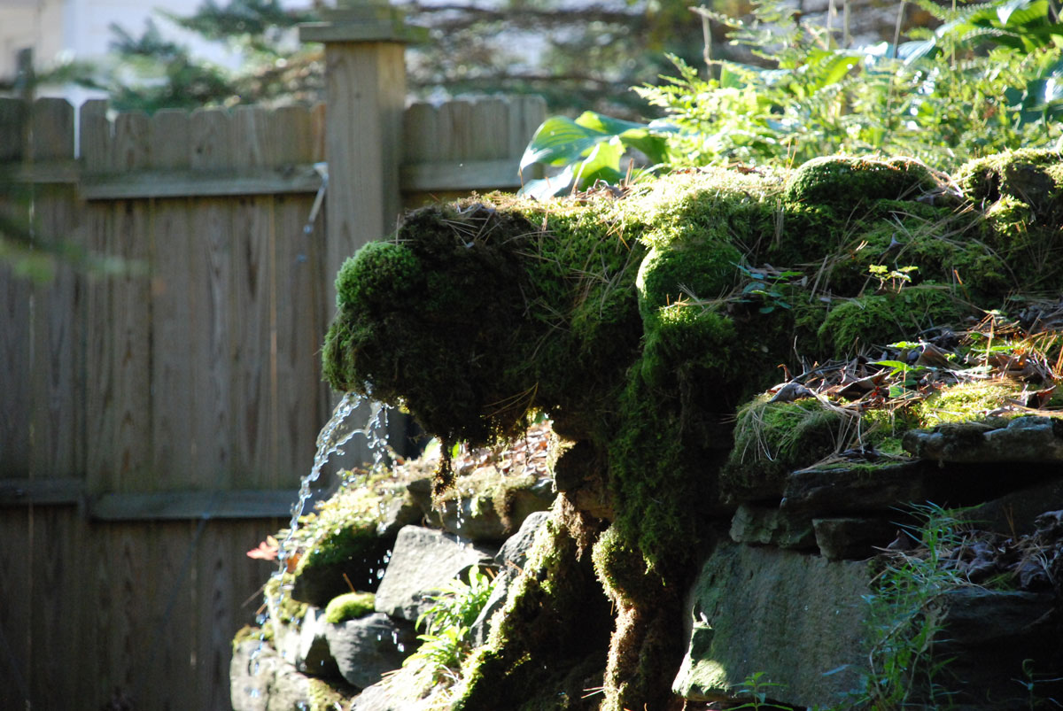 Fountain of Moss 1 #126